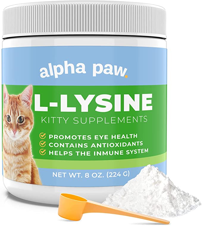 Human lysine outlet for cats