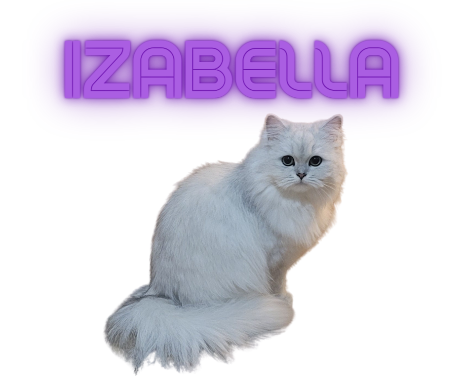 💚 Luca 💚 Baby Boy ~ Zion & Izabella's Creation: 2022.03.25