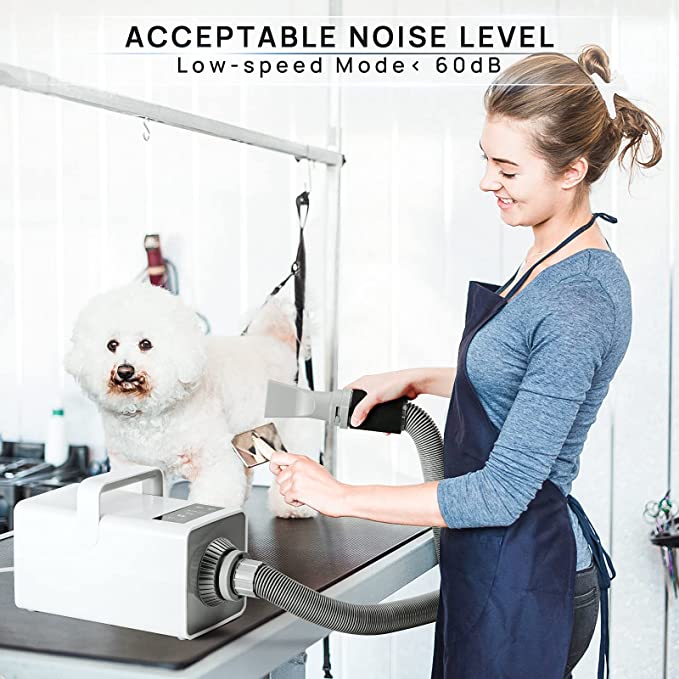 High velocity pet clearance dryer