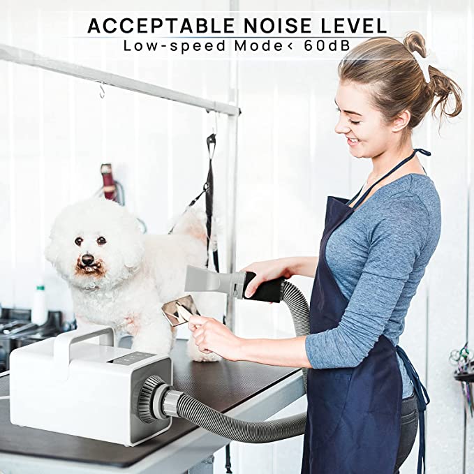 iPettie Ionic High Velocity Pet Hair Dryer