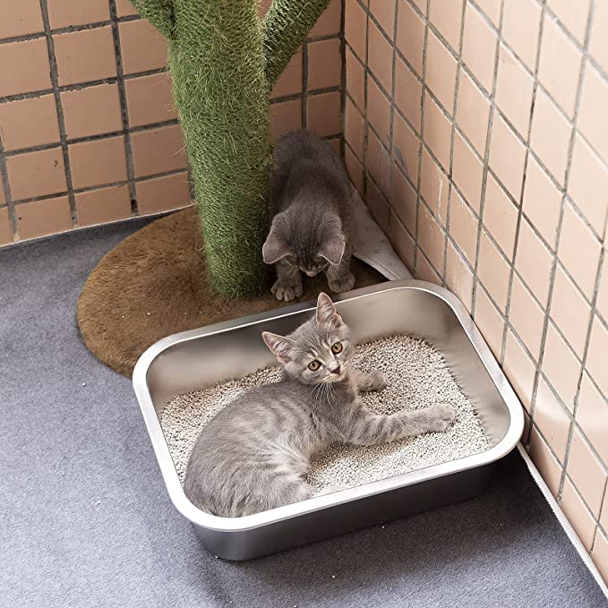 Stainless Steel Litter Box for Kittens