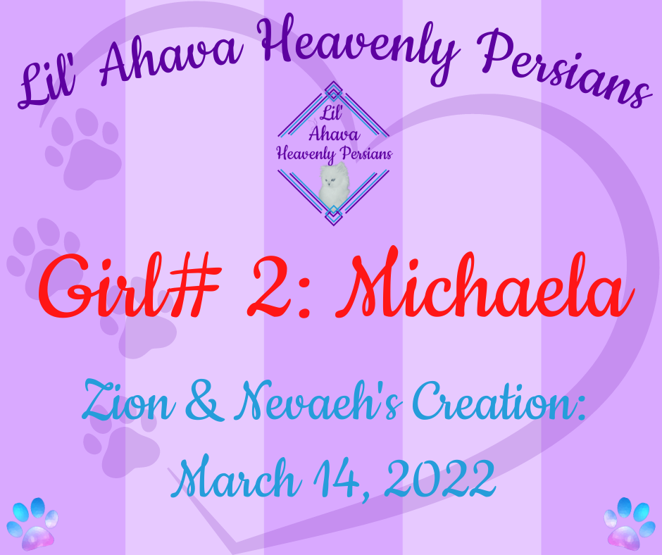 💗 Michaela 💗 Baby Girl# 2 ~ Zion & Nevaeh's Creation: 2022.03.14