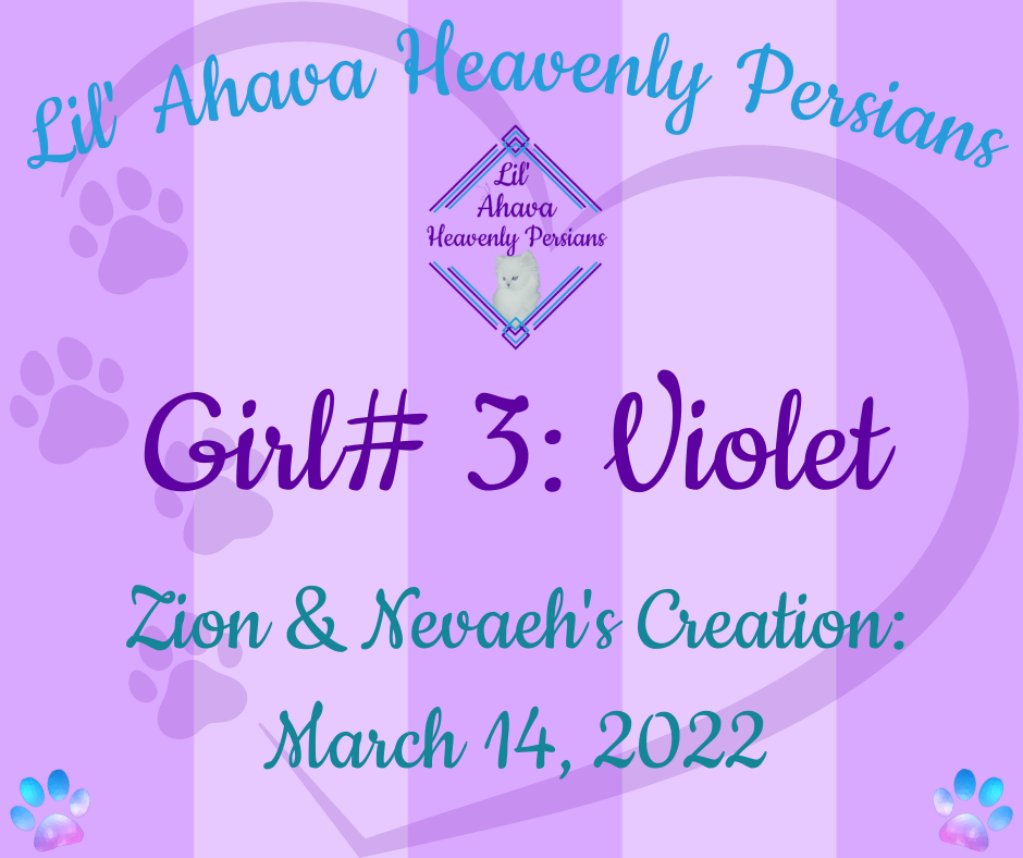 💜 Violet 💜 ***RESERVED*** Baby Girl# 3 ~ Zion & Nevaeh's Creation: 2022.03.14