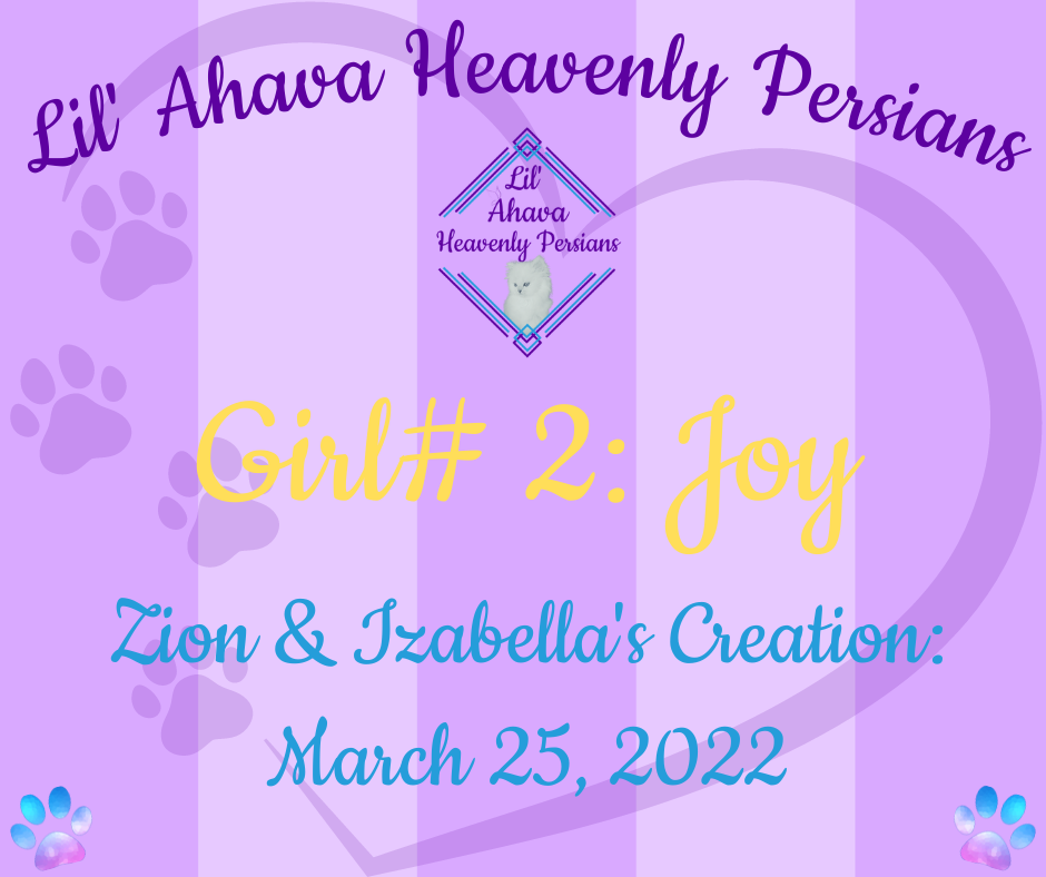 💛 Joy 💛 ***RESERVED*** Baby Girl# 2 ~ Zion & Izabella's Creation: 2022.03.25